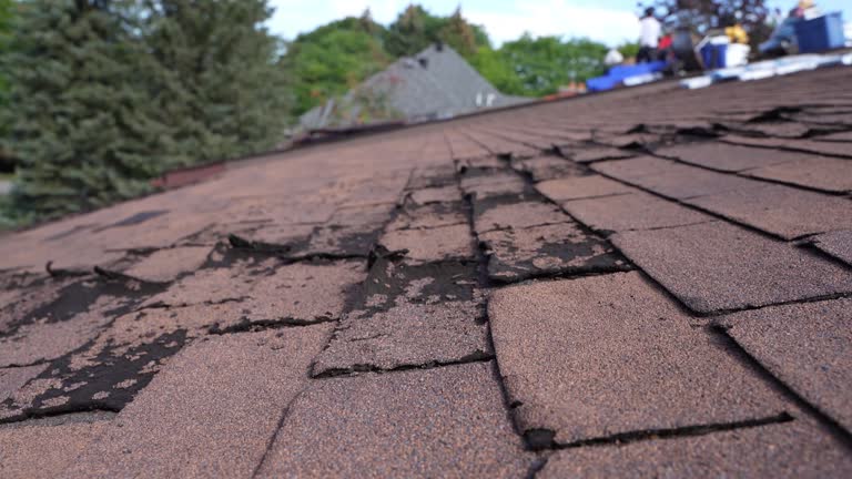 Best Metal Roofing Installation  in Dutch Island, GA